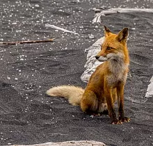 ополнительное фото тура 