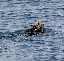 ополнительное фото тура 