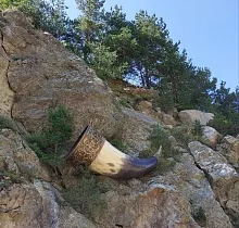 ополнительное фото тура 
