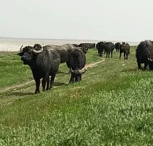 ополнительное фото тура 