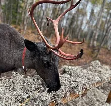 ополнительное фото тура 