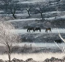 ополнительное фото тура 