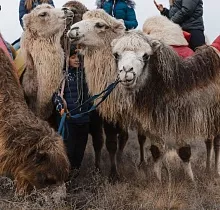 ополнительное фото тура 
