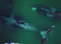 Шантарские Острова