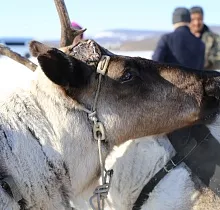 ополнительное фото тура