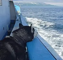 ополнительное фото тура 