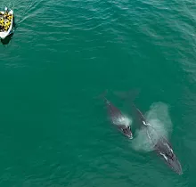 ополнительное фото тура 