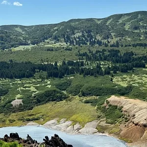 Фото отзыва