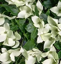 ополнительное фото тура 