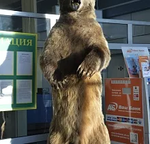 Фото дня 1 тура Наблюдение за промыслом, Мыс Дежнева