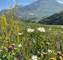 ополнительное фото тура 