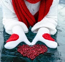 ополнительное фото тура 