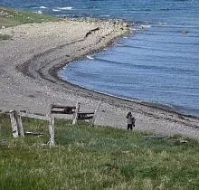 Фото дня 3 тура Наблюдение за промыслом, Мыс Дежнева