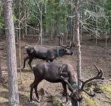 ополнительное фото тура 