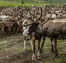 ополнительное фото тура 