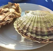 Фото дня 4 тура Гастротур «Вкус Тихого океана»