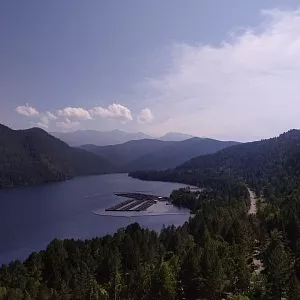 Фото отзыва