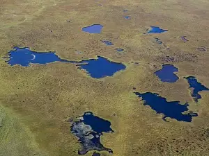 Командорские Острова