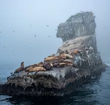 ополнительное фото тура 