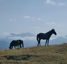 ополнительное фото тура 