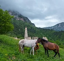 ополнительное фото тура 