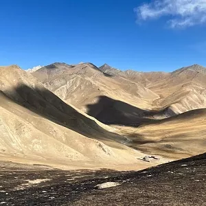 Фото отзыва