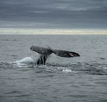 ополнительное фото тура 