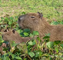 ополнительное фото тура 