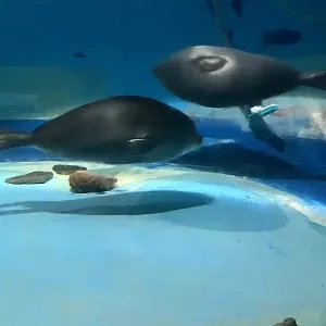 Фото отзыва