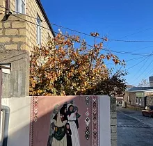 ополнительное фото тура 