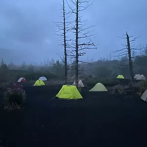 Фото отзыва