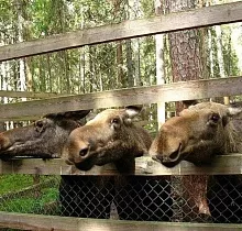 ополнительное фото тура 