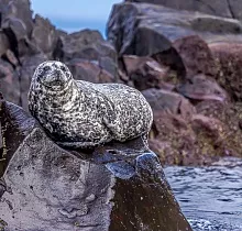 ополнительное фото тура 