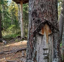 ополнительное фото тура 