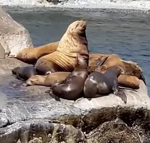 ополнительное фото тура 