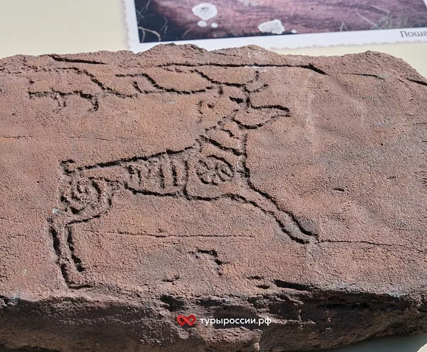 Изображение статьи Однодневная экскурсия в заповедник Хакасский: участок Оглахты Туры России