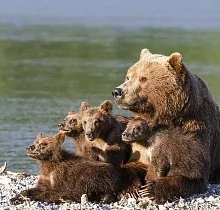 ополнительное фото тура 