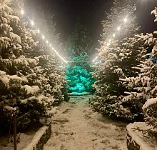 ополнительное фото тура 