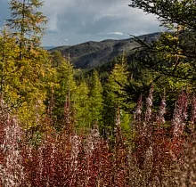 ополнительное фото тура 