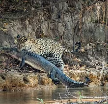 ополнительное фото тура 