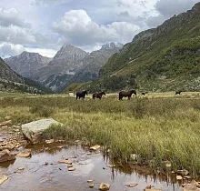 ополнительное фото тура 