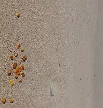 ополнительное фото тура 