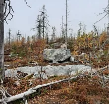 ополнительное фото тура