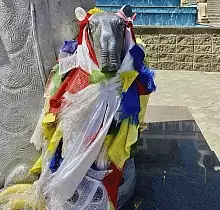 ополнительное фото тура 