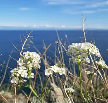 ополнительное фото тура 