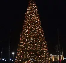 ополнительное фото тура 