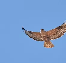 ополнительное фото тура