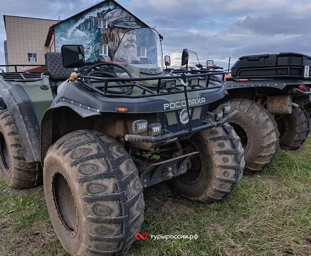 Изображение статьи Отдых в Териберке: как добраться, где жить, что посмотреть Туры России