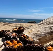 ополнительное фото тура 