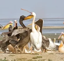 ополнительное фото тура 